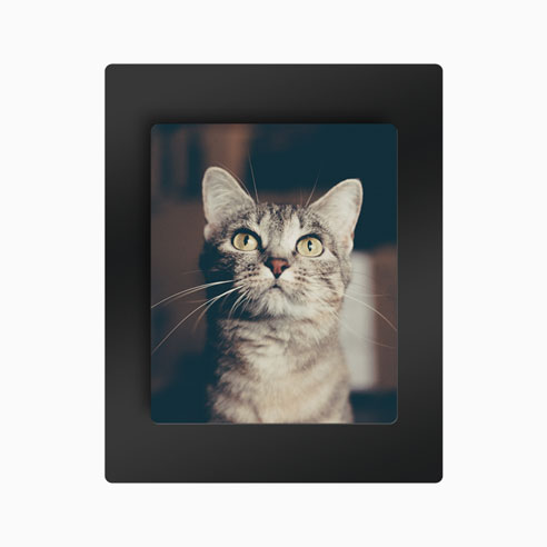 _Specialty_Prints/_Metal_Prints/Metal_on_Acrylic_Prints